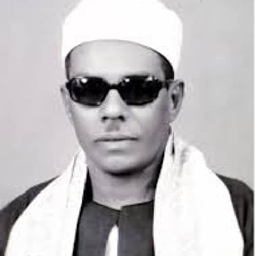Mahmoud Hassanin Alkalhi
