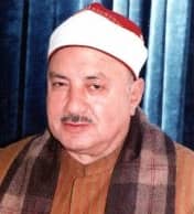 Mohamed Eltoukhi