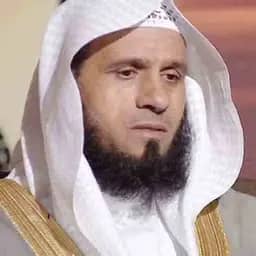 Portrait of Quran reciter Saber Abdel Hakam