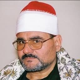 Alsayed Metwally