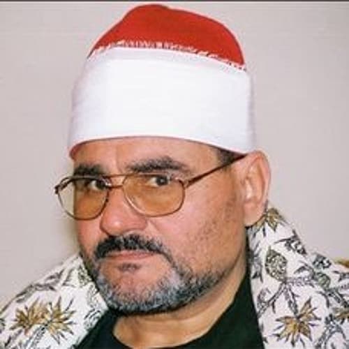 السيد متولي
