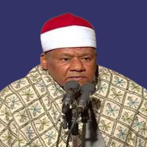 Mahmoud Abulwafa Alsaedi