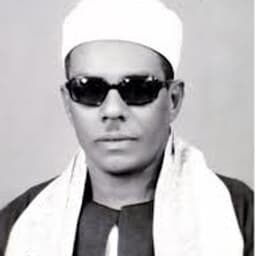 Mahmoud Hassanin Alkalhi