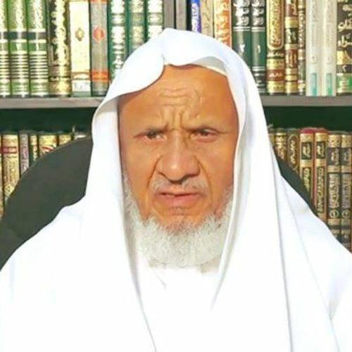 Ahmed Khalil Shaheen