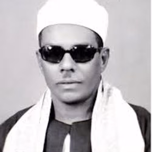 Mahmoud Hassanin Alkalhi